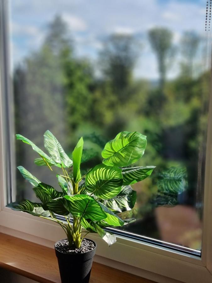 Sweet Home Wermelskirchen Zewnętrze zdjęcie